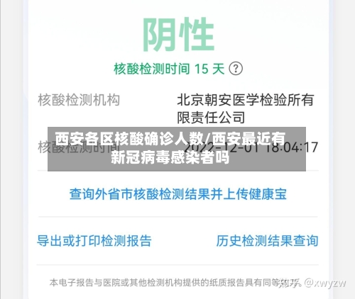 西安各区核酸确诊人数/西安最近有新冠病毒感染者吗-第2张图片