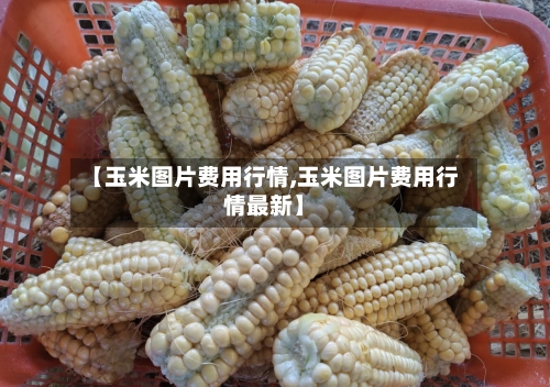 【玉米图片费用行情,玉米图片费用行情最新】