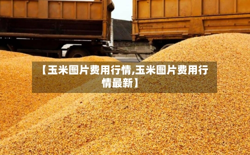 【玉米图片费用行情,玉米图片费用行情最新】-第2张图片