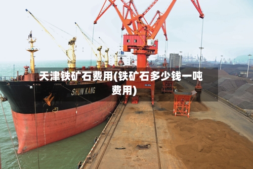 天津铁矿石费用(铁矿石多少钱一吨费用)