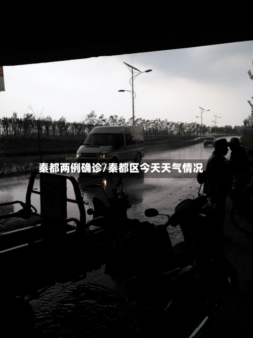 秦都两例确诊/秦都区今天天气情况-第2张图片