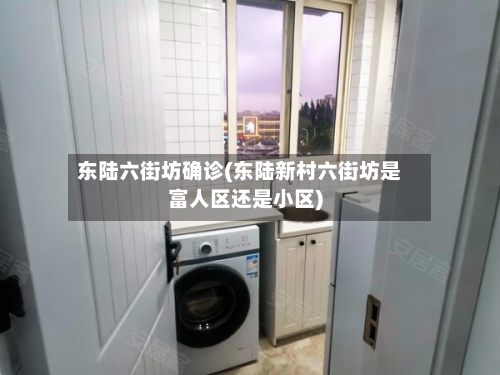 东陆六街坊确诊(东陆新村六街坊是富人区还是小区)-第2张图片