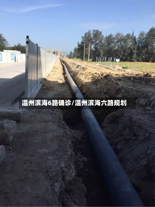 温州滨海6路确诊/温州滨海六路规划-第3张图片