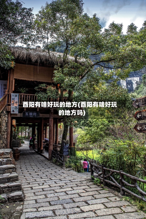 酉阳有啥好玩的地方(酉阳有啥好玩的地方吗)-第3张图片