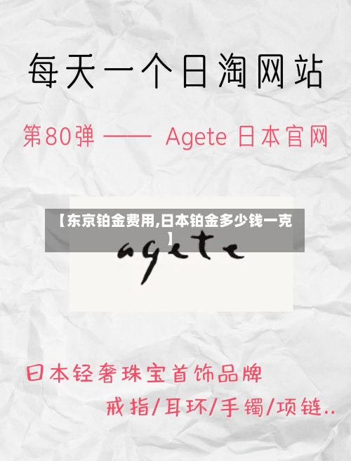 【东京铂金费用,日本铂金多少钱一克】-第2张图片