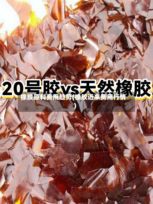 橡胶原料费用趋势(橡胶近来费用行情)