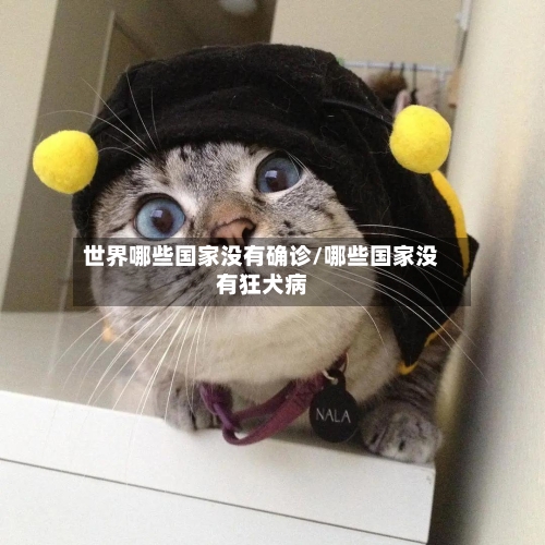 世界哪些国家没有确诊/哪些国家没有狂犬病-第2张图片
