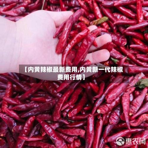 【内黄辣椒最新费用,内黄新一代辣椒费用行情】-第3张图片