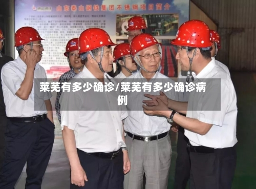 莱芜有多少确诊/莱芜有多少确诊病例