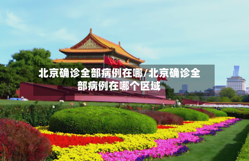 北京确诊全部病例在哪/北京确诊全部病例在哪个区域-第2张图片