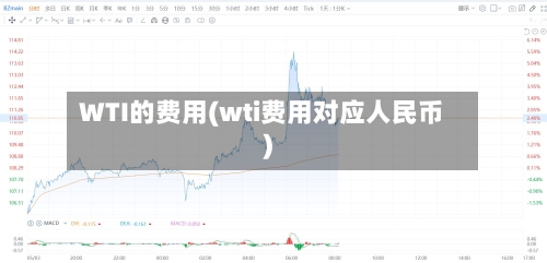 WTI的费用(wti费用对应人民币)