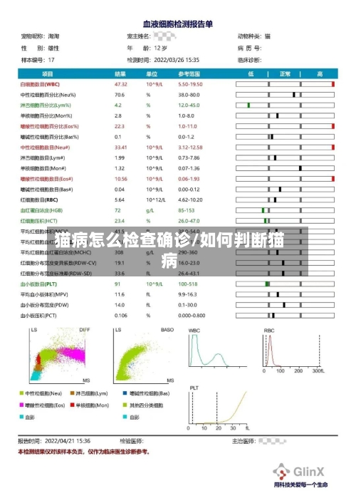 猫病怎么检查确诊/如何判断猫病