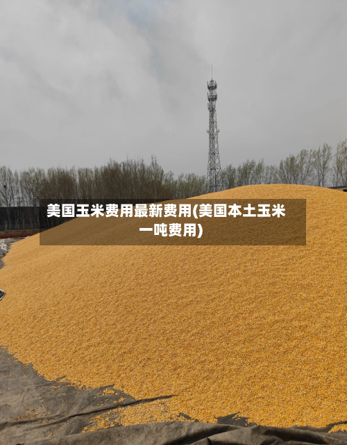 美国玉米费用最新费用(美国本土玉米一吨费用)-第2张图片