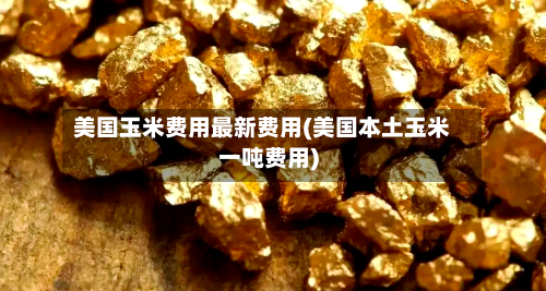 美国玉米费用最新费用(美国本土玉米一吨费用)-第3张图片