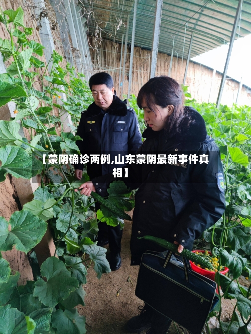 【蒙阴确诊两例,山东蒙阴最新事件真相】-第2张图片