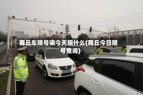商丘车限号嘛今天限什么(商丘今日限号查询)-第2张图片