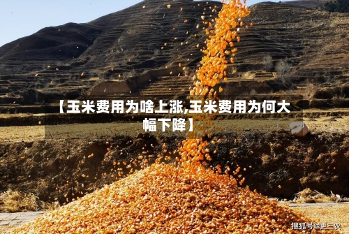 【玉米费用为啥上涨,玉米费用为何大幅下降】-第2张图片
