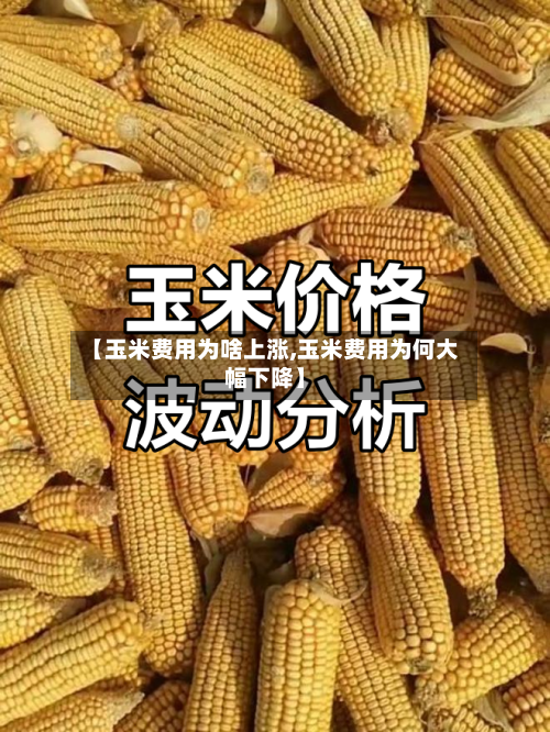 【玉米费用为啥上涨,玉米费用为何大幅下降】