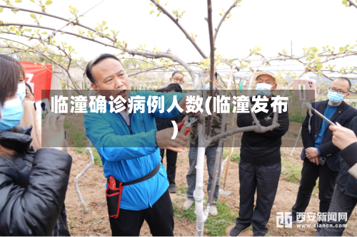 临潼确诊病例人数(临潼发布)