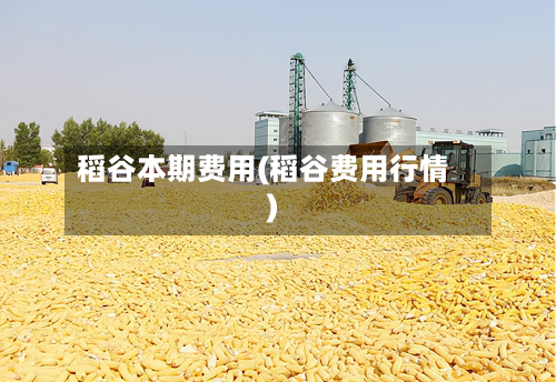稻谷本期费用(稻谷费用行情)-第2张图片
