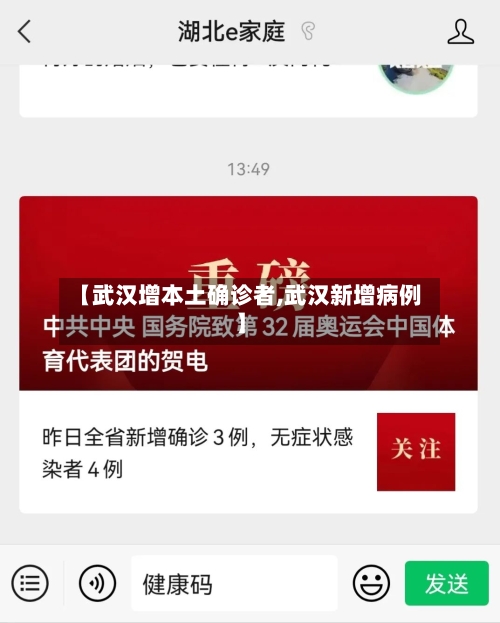 【武汉增本土确诊者,武汉新增病例】