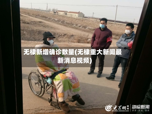 无棣新增确诊数量(无棣重大新闻最新消息视频)
