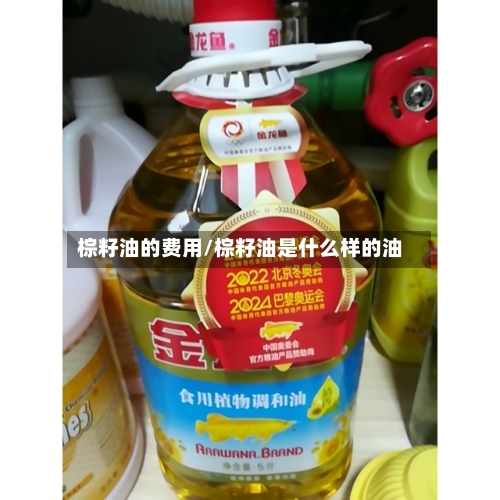 棕籽油的费用/棕籽油是什么样的油