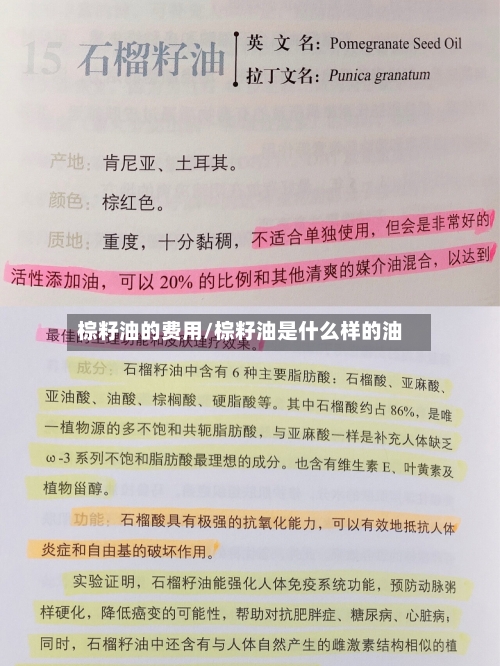 棕籽油的费用/棕籽油是什么样的油-第2张图片
