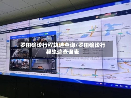 罗田确诊行程轨迹查询/罗田确诊行程轨迹查询表-第2张图片