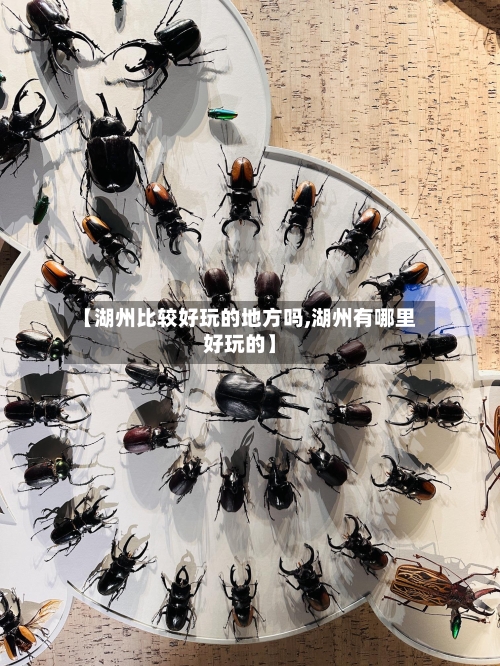 【湖州比较好玩的地方吗,湖州有哪里好玩的】