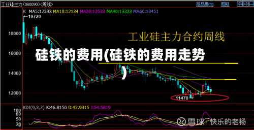 硅铁的费用(硅铁的费用走势)-第2张图片