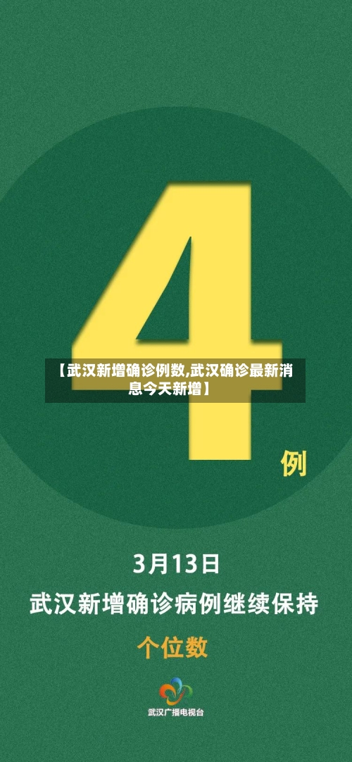 【武汉新增确诊例数,武汉确诊最新消息今天新增】