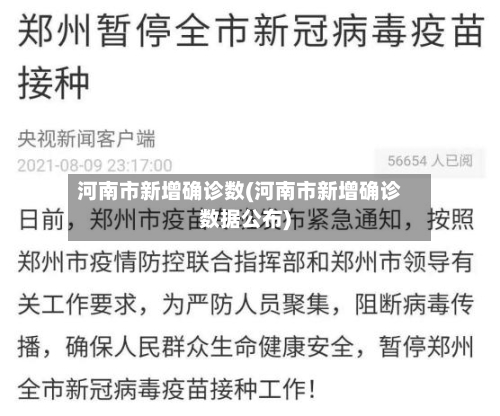 河南市新增确诊数(河南市新增确诊数据公布)-第2张图片