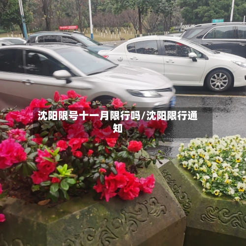 沈阳限号十一月限行吗/沈阳限行通知