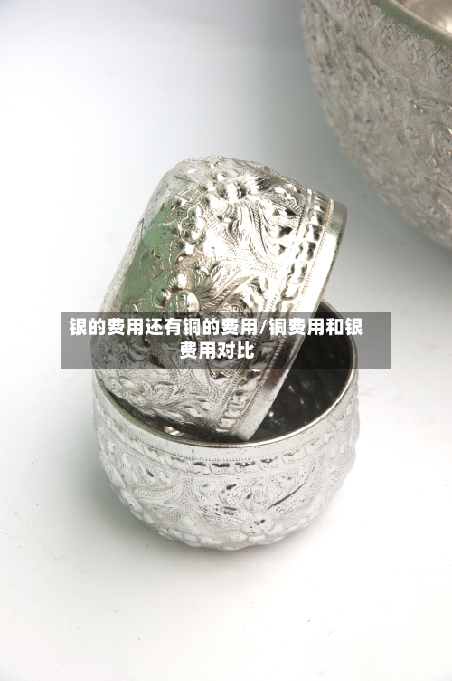 银的费用还有铜的费用/铜费用和银费用对比-第2张图片