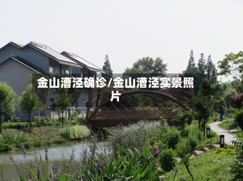 金山漕泾确诊/金山漕泾实景照片