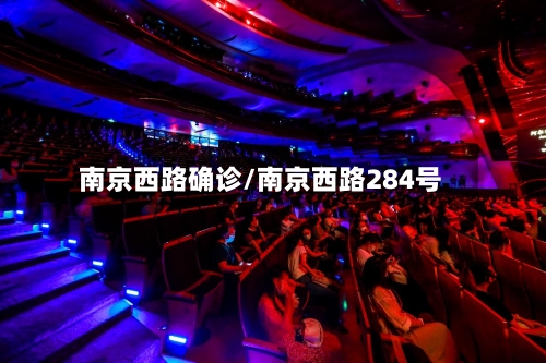 南京西路确诊/南京西路284号-第3张图片