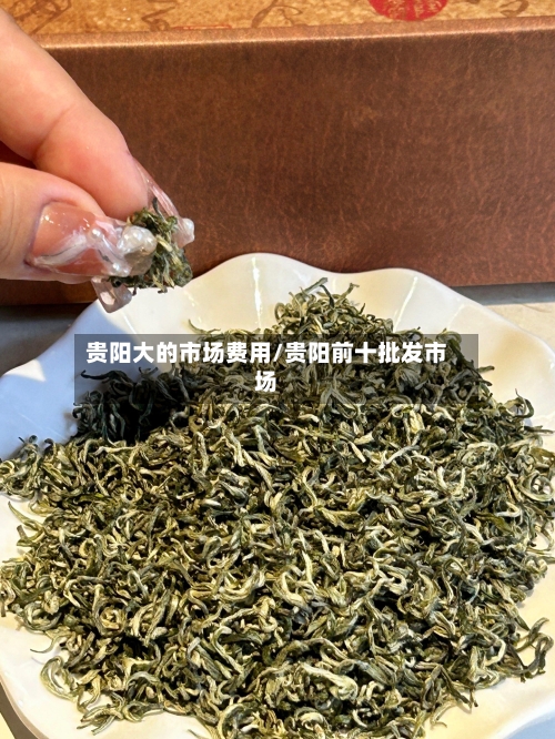 贵阳大的市场费用/贵阳前十批发市场