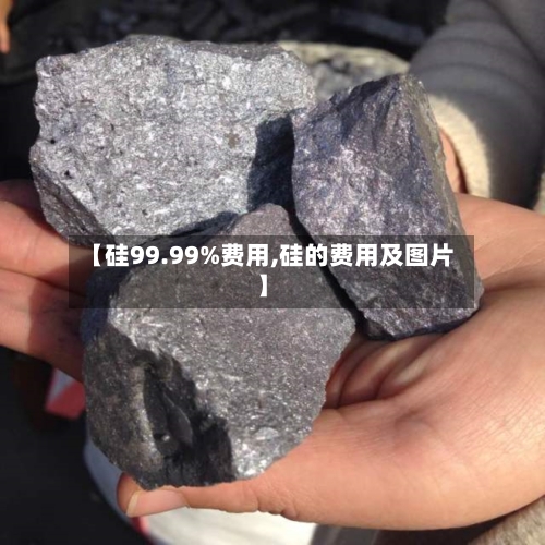 【硅99.99%费用,硅的费用及图片】-第2张图片