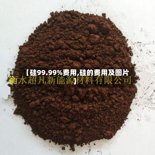 【硅99.99%费用,硅的费用及图片】