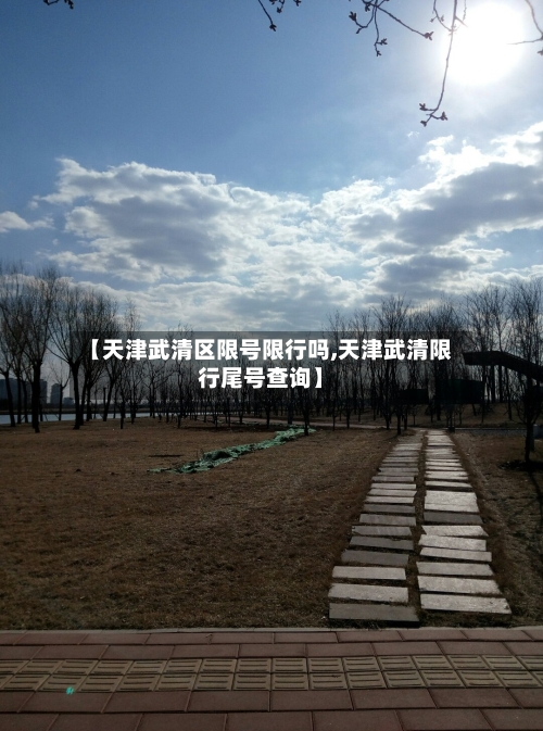 【天津武清区限号限行吗,天津武清限行尾号查询】-第2张图片