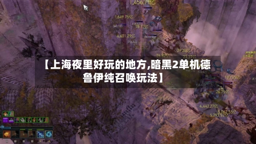 【上海夜里好玩的地方,暗黑2单机德鲁伊纯召唤玩法】-第3张图片