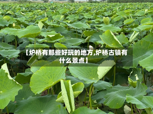 【炉桥有那些好玩的地方,炉桥古镇有什么景点】