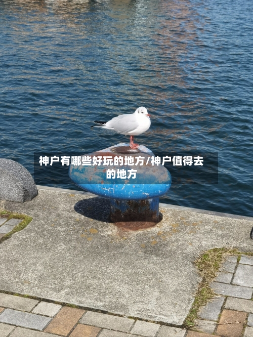 神户有哪些好玩的地方/神户值得去的地方