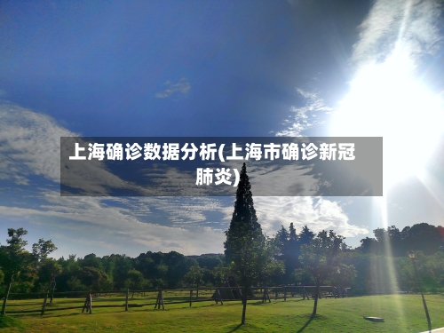 上海确诊数据分析(上海市确诊新冠肺炎)-第2张图片