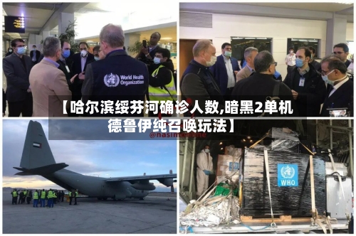 【哈尔滨绥芬河确诊人数,暗黑2单机德鲁伊纯召唤玩法】
