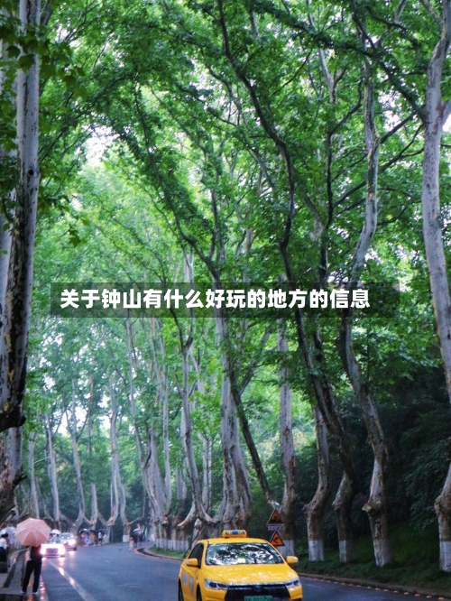 关于钟山有什么好玩的地方的信息-第2张图片