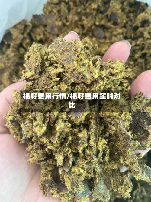 棉籽费用行情/棉籽费用实时对比-第3张图片
