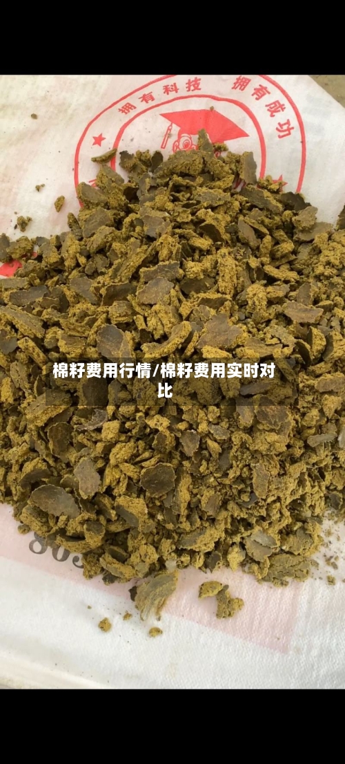 棉籽费用行情/棉籽费用实时对比-第2张图片