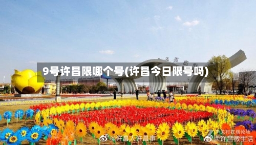 9号许昌限哪个号(许昌今日限号吗)-第2张图片